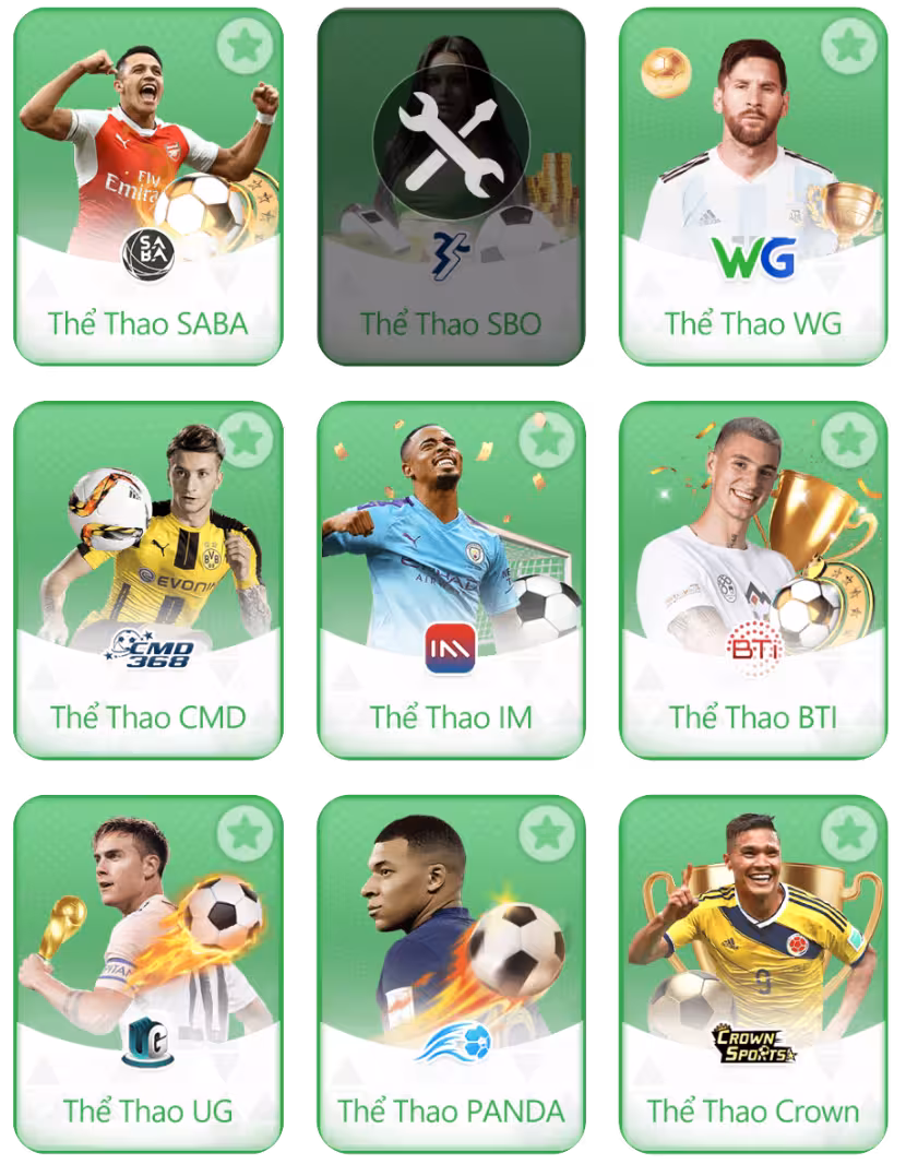 Thể thao v13win